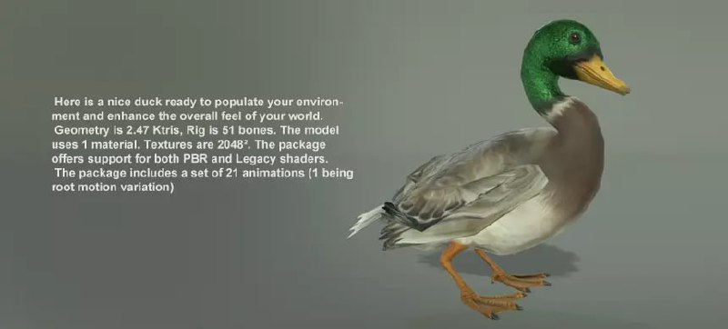 BIRDS PACK📱 - изображение 3